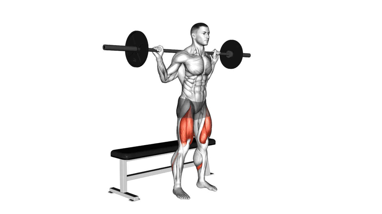 Barbell Bench Squat