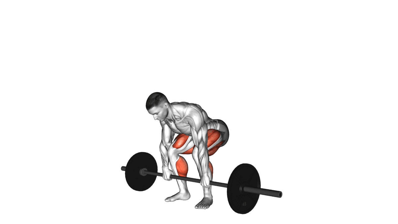 Barbell Deadlift