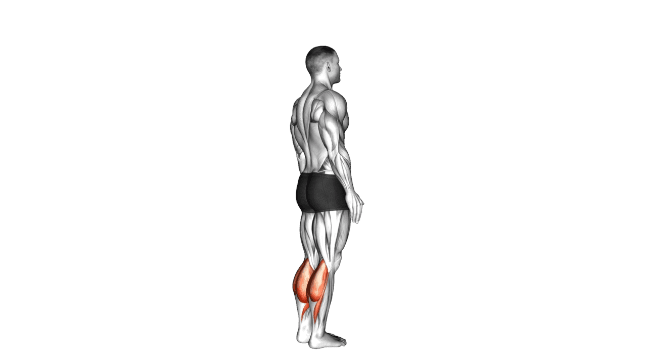 Bodyweight Standing Calf Raise