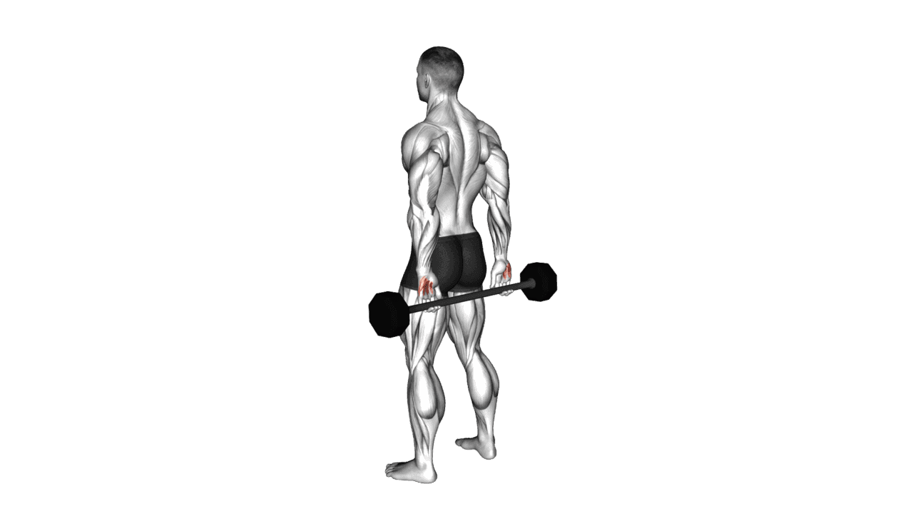 Barbell Behind Back Finger Curl